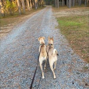 Meet your Posher, Maribeth